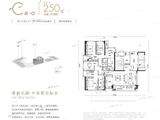 皇庭世茂裕玺_5室2厅4卫 建面250平米