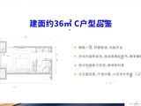 绿地派克公馆_建面约36平C户型 建面36平米