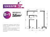 中海湖畔YOU+_1室1厅1卫 建面56平米