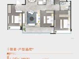 中建星光城市_4室2厅2卫 建面142平米