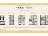 理和园_4室2厅5卫 建面165平米